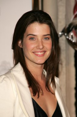 Cobie Smulders
