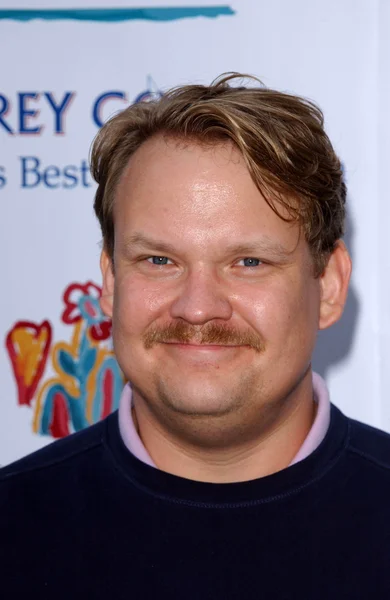 Andy Richter — Stock Photo, Image