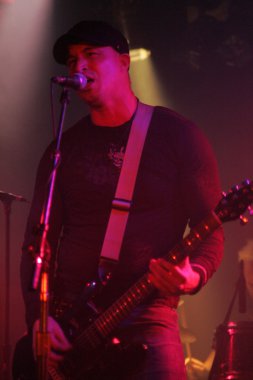 stereocell todd riffel