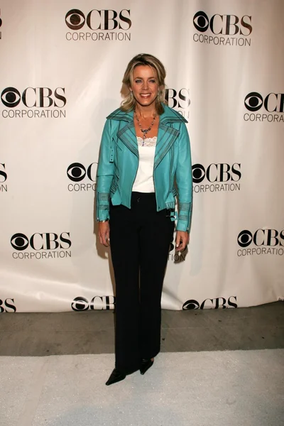 CBS, Paramount, UPN, Showtime et King World's 2006 TCA Party — Photo