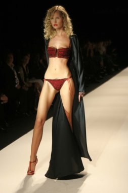 modeli