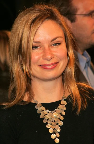 Mary lynn rajskub — Zdjęcie stockowe