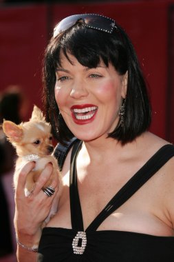 13 yıllık espy Ödülleri - geliş