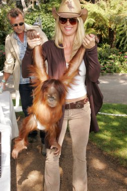 11 yıllık yabani hayvanlar ve bitkiler waystation safari brunch yarar