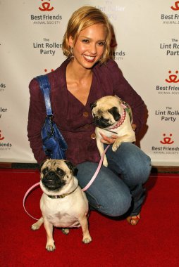 2005 yıllık tüysüz paten partisi