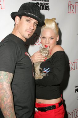 Evcil hayvanlar ve onların yıldız bağlantıda sunar