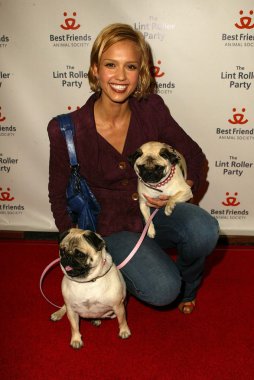 2005 yıllık tüysüz paten partisi