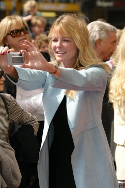Cheryl Tiegs
