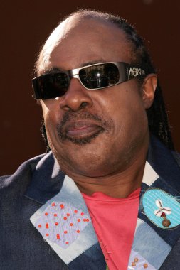 Stevie Wonder