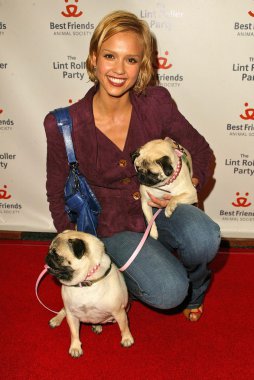 2005 yıllık tüysüz paten partisi