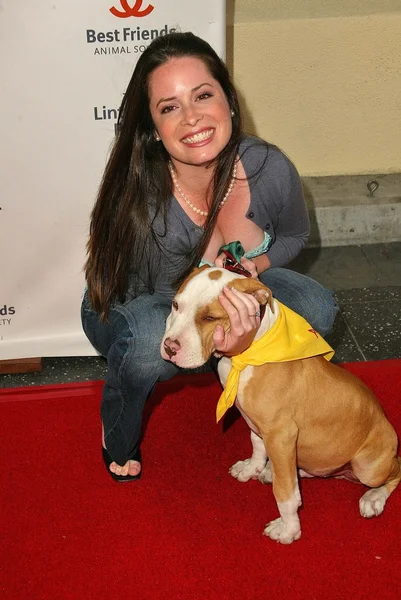 2005 yıllık tüysüz paten partisi