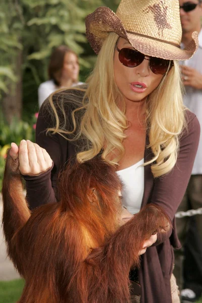 11 yıllık yabani hayvanlar ve bitkiler waystation safari brunch yarar