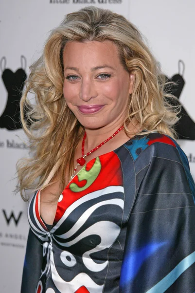 Taylor Dayne — Stock Photo, Image