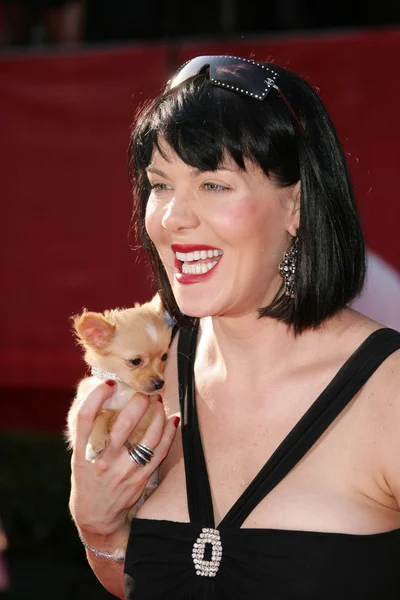 13 yıllık espy Ödülleri - geliş