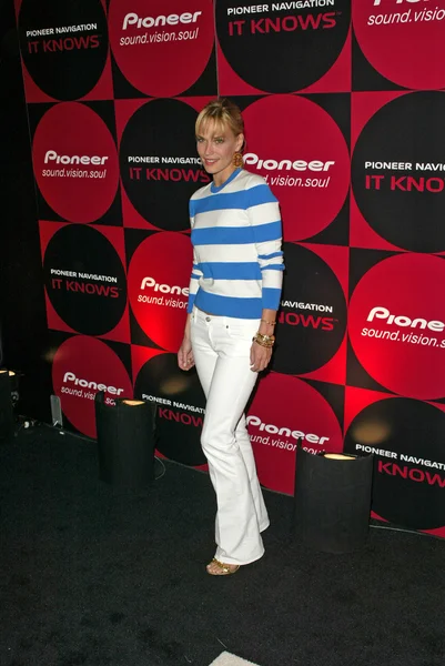 öncü elektronik otomotiv navigasyon sistemleri denize indirmek eğlenti