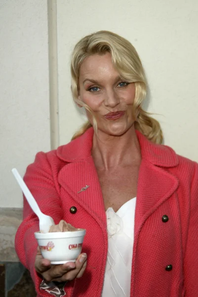 Soğuk taş süthane'nın dondurma pasta sosyal