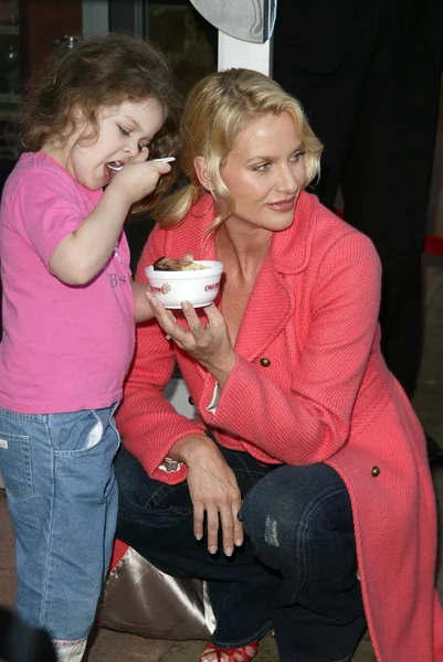 Soğuk taş süthane'nın dondurma pasta sosyal