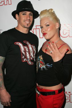 Evcil hayvanlar ve onların yıldız bağlantıda sunar