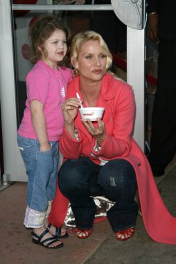 Soğuk taş süthane'nın dondurma pasta sosyal