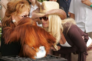 11 yıllık yabani hayvanlar ve bitkiler waystation safari brunch yarar