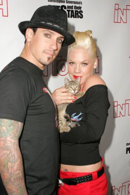 Evcil hayvanlar ve onların yıldız bağlantıda sunar