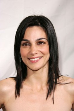 Annie Parisse