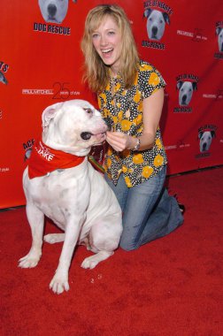 Ace of hearts ilk yıllık hollywood köpek yemliği