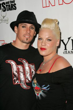 Evcil hayvanlar ve onların yıldız bağlantıda sunar