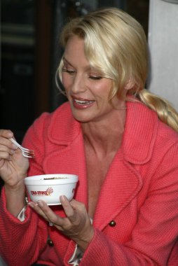 Soğuk taş süthane'nın dondurma pasta sosyal