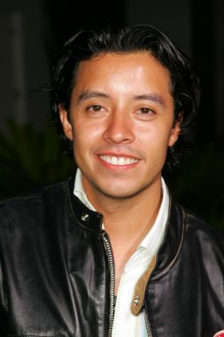 los angeles premiere 