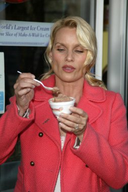 Soğuk taş süthane'nın dondurma pasta sosyal