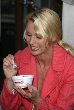 Soğuk taş süthane'nın dondurma pasta sosyal