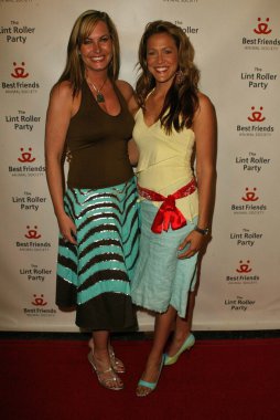 2005 yıllık tüysüz paten partisi