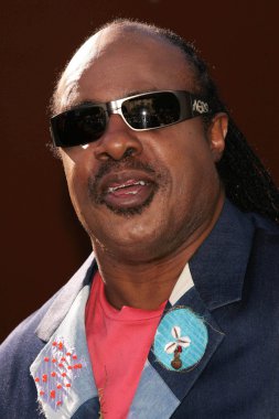 Stevie Wonder