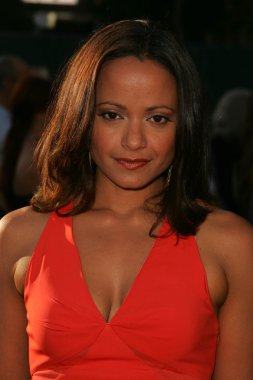 NBC yaz 2005 tca partisi