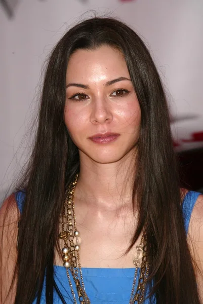 China Chow — Stockfoto