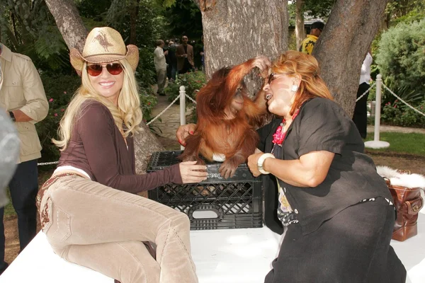 11 yıllık yabani hayvanlar ve bitkiler waystation safari brunch yarar