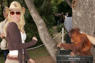 11 yıllık yabani hayvanlar ve bitkiler waystation safari brunch yarar