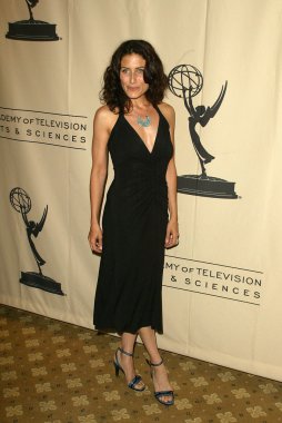 Yazarların eş grubu Emmy adayı Resepsiyon