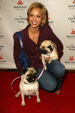 2005 yıllık tüysüz paten partisi