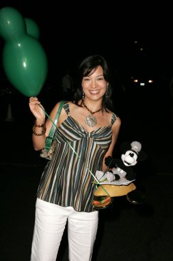 Disneyland 50 koleksiyonu