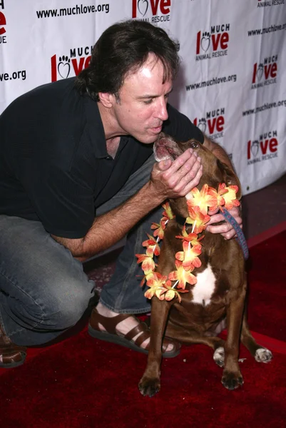 fazla aşk hayvan kurtarmak