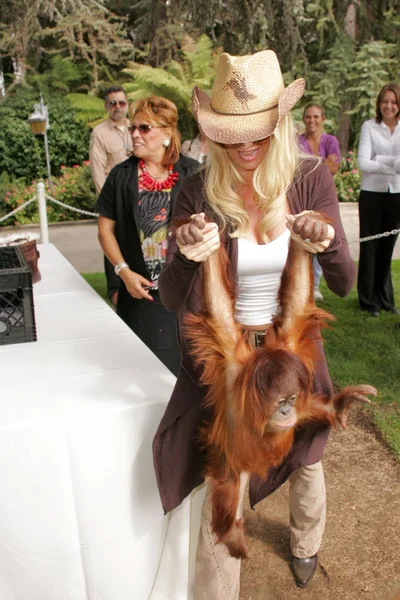 11 yıllık yabani hayvanlar ve bitkiler waystation safari brunch yarar