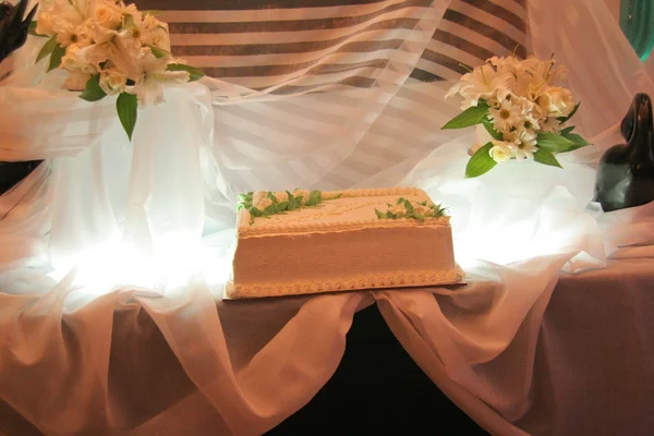 Maria conchita alonso születésnapi torta — Stock Fotó