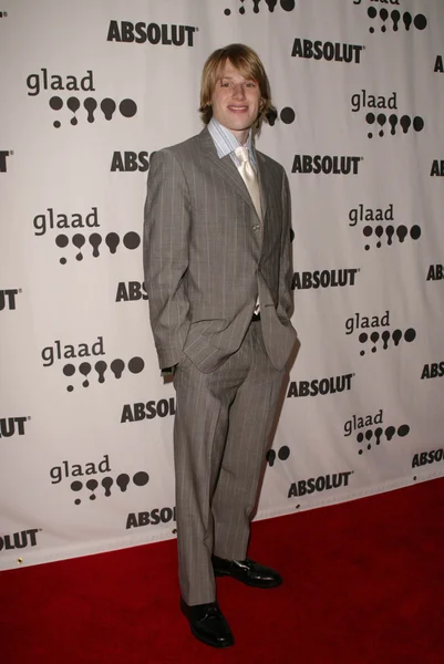 XVI edizione dei GLAAD Media Awards LA — Foto Stock