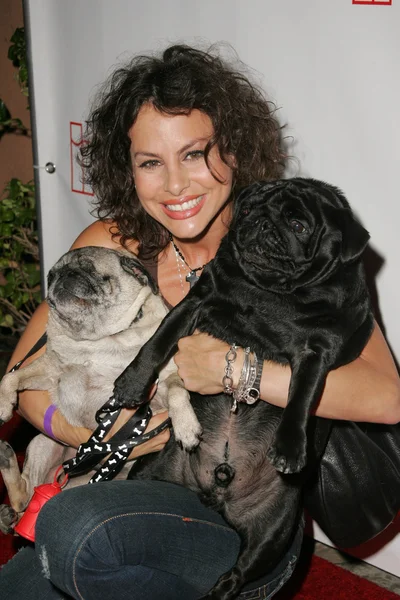 Evcil hayvanlar ve onların yıldız bağlantıda sunar