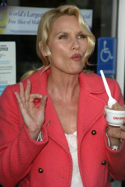 Soğuk taş süthane'nın dondurma pasta sosyal