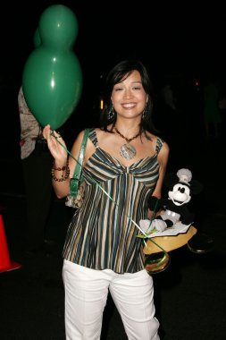 Disneyland 50 koleksiyonu