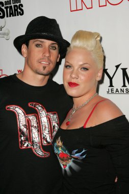 Evcil hayvanlar ve onların yıldız bağlantıda sunar