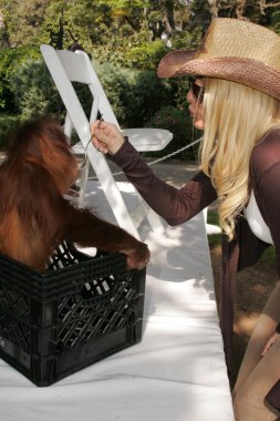 11 yıllık yabani hayvanlar ve bitkiler waystation safari brunch yarar